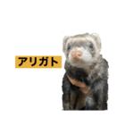 ぼくたぬきち！（個別スタンプ：14）