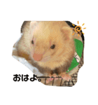 ひさと動物たち。（個別スタンプ：1）