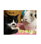 ひさと動物たち。（個別スタンプ：6）
