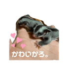 ひさと動物たち。（個別スタンプ：8）