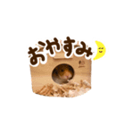 ゴールデンハムスターのおいもちゃん（個別スタンプ：2）