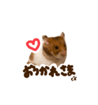 ゴールデンハムスターのおいもちゃん（個別スタンプ：4）