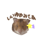 ゴールデンハムスターのおいもちゃん（個別スタンプ：10）