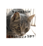 非日常ネタスタンプ1（個別スタンプ：15）