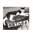 非日常ネタスタンプ1（個別スタンプ：16）
