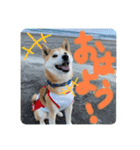 ゲンちゃんは今日も可愛い（個別スタンプ：1）