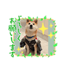 ゲンちゃんは今日も可愛い（個別スタンプ：6）