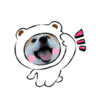 ゲンちゃんは今日も可愛い（個別スタンプ：8）