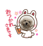 ぷぅちゃん(トイプードル)（個別スタンプ：5）