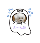 ぷぅちゃん(トイプードル)（個別スタンプ：7）