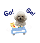 ぷぅちゃん(トイプードル)（個別スタンプ：18）