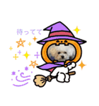 ぷぅちゃん(トイプードル)（個別スタンプ：40）