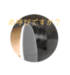 はりねずみで行こう2（個別スタンプ：5）