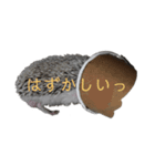 はりねずみで行こう2（個別スタンプ：9）