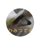 はりねずみで行こう2（個別スタンプ：14）