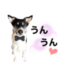 Archie’s life 4（個別スタンプ：11）