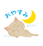 Mau★ねこスタンプ(フレンドVer.)（個別スタンプ：11）