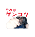 ゲンコツおじさん その1（個別スタンプ：14）