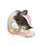 獅子丸くんです（個別スタンプ：2）