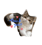 獅子丸くんです（個別スタンプ：7）