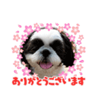 愛しのもなタン（個別スタンプ：14）