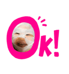 しょちゃんファミリー（個別スタンプ：6）