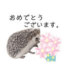うさぎとハリネズミ★ひめぽたスタンプ②（個別スタンプ：7）