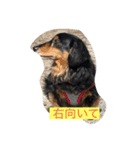 私のDAKSちゃん（個別スタンプ：4）