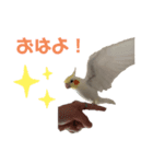 セセリの日常（個別スタンプ：2）