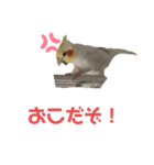 セセリの日常（個別スタンプ：6）