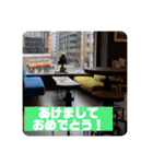 アイデン部の青春（個別スタンプ：24）