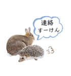ひめぽたスタンプ【出雲弁編】（個別スタンプ：23）