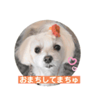 いつも元気なすあまちゃん（個別スタンプ：6）
