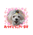 いつも元気なすあまちゃん（個別スタンプ：7）