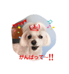 いつも元気なすあまちゃん（個別スタンプ：8）