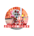 いつも元気なすあまちゃん（個別スタンプ：10）