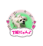 いつも元気なすあまちゃん（個別スタンプ：12）