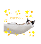 うにちゃん時々たらちゃん（個別スタンプ：3）