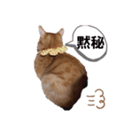 うにちゃん時々たらちゃん（個別スタンプ：7）