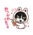 いろいろ使える、日常ねこウラスタンプ（個別スタンプ：7）