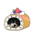 いろいろ使える、日常ねこウラスタンプ（個別スタンプ：9）