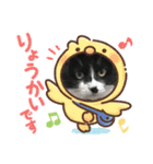 いろいろ使える、日常ねこウラスタンプ（個別スタンプ：17）