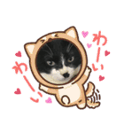 いろいろ使える、日常ねこウラスタンプ（個別スタンプ：22）