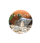 お魚さんたちの日常2（個別スタンプ：4）