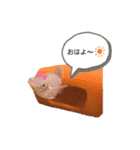 お魚さんたちの日常2（個別スタンプ：8）