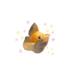 お魚さんたちの日常2（個別スタンプ：19）