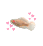 お魚さんたちの日常2（個別スタンプ：20）