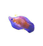 お魚さんたちの日常2（個別スタンプ：26）