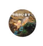 お魚さんたちの日常2（個別スタンプ：34）