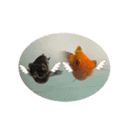 お魚さんたちの日常2（個別スタンプ：35）